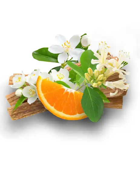 Pikake CF + Hawaiian Sandalwood - Clean Fragrances